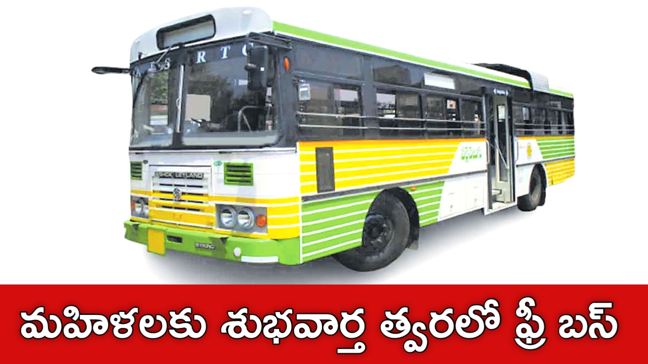 Ap Free Buss Scheme