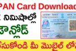 Pan card download process