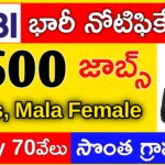 Sbi bank jobs