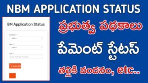 Nbm application status