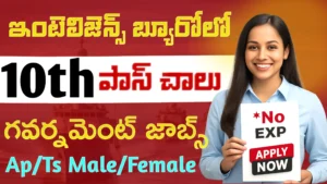 IB Security Assistant Jobs 2025