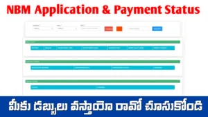 NBM APPLICATION STATUS2025