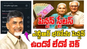 NTR Bharosa Pension status