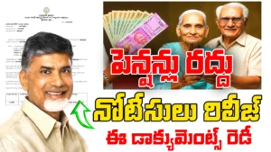 NTR Bharosa Pension Scheme